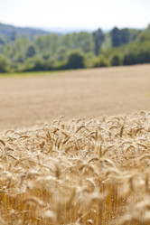 Similar image 1456501