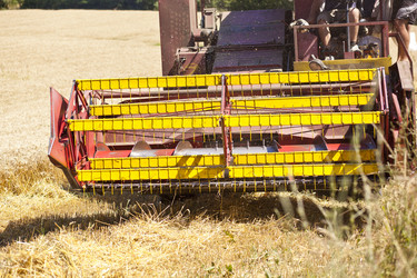 Similar image 1456535