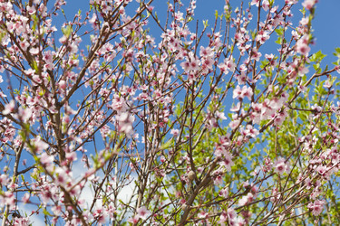 Similar image 1456563