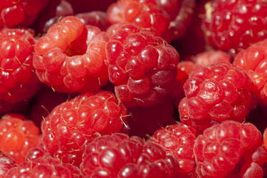 Similar image 1456566