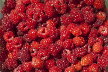 Similar image 1456567