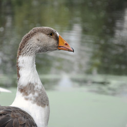 Similar image 1456655