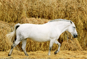 Similar image 1456659