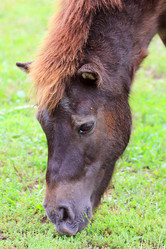 Similar image 1456660