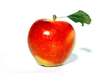 Similar image 1456661