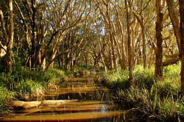 Similar image 1456663