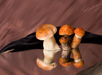 Similar image 1456682