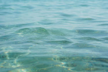 Similar image 1456692