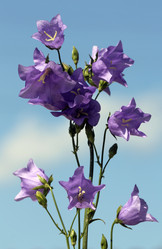 Similar image 1456701