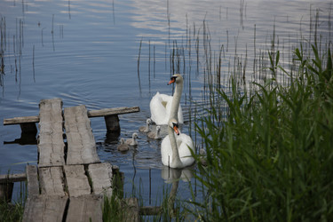 Similar image 1456724