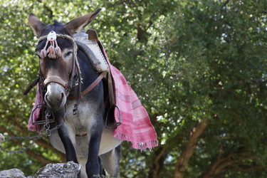 Similar image 1456726