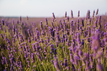 Similar image 1456732