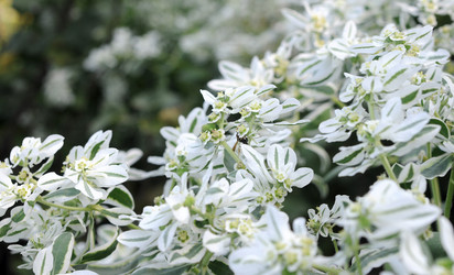 Similar image 1456737