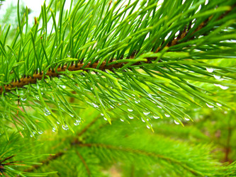 Similar image 1456755