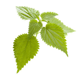 Similar image 1456758