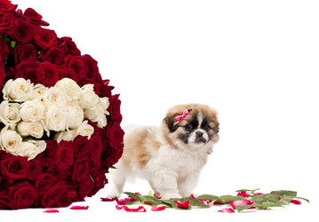 Similar image 1456799