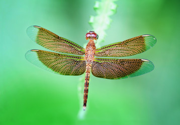 Similar image 1456901