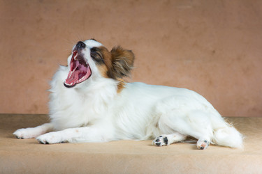 Similar image 1456921