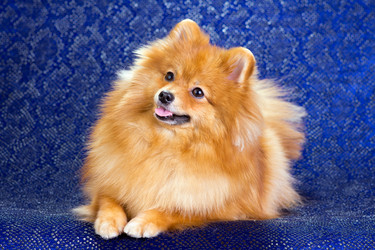 Similar image 1456923