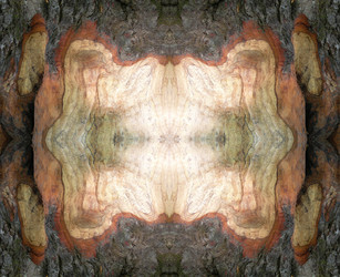 Similar image 1456971