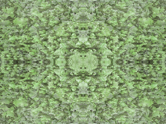 Similar image 1456973