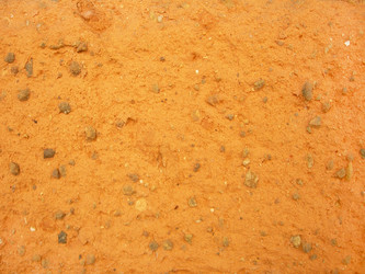 Similar image 1456981