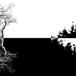 Similar image 1456992