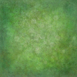 Similar image 1456994