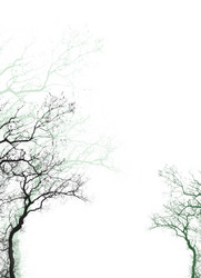 Similar image 1457002