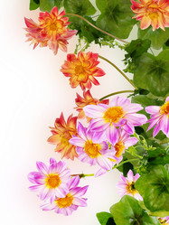 Similar image 1457028