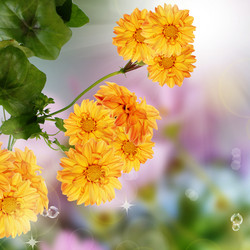 Similar image 1457148