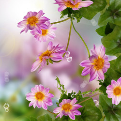 Similar image 1457149