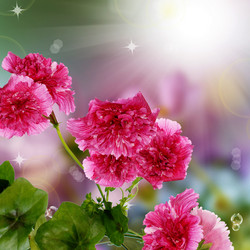 Similar image 1457150