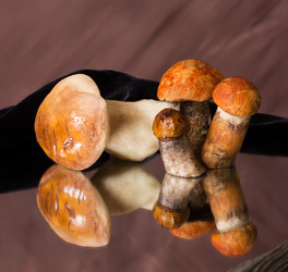 Similar image 1457169