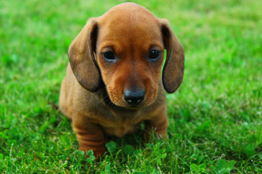 Similar image 1457421