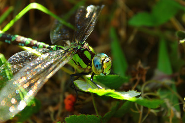 Similar image 1457422