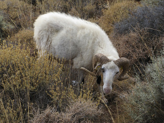 Similar image 1457443