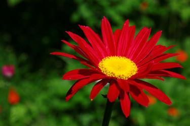 Similar image 1457490