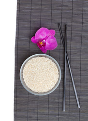 Similar image 1457495