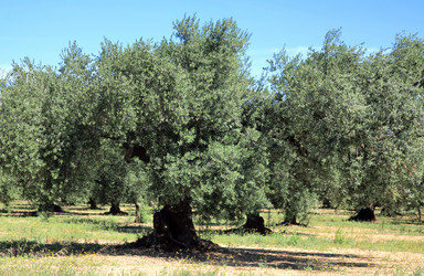 Similar image 1457632