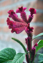 Similar image 1457647