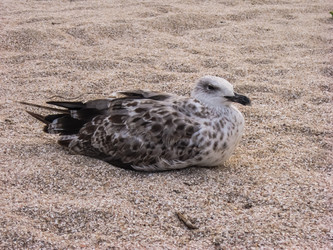 Similar image 1457651