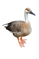 Similar image 1457665