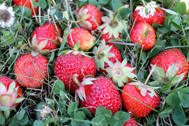 Similar image 1457668