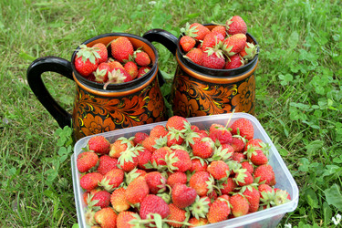 Similar image 1457669