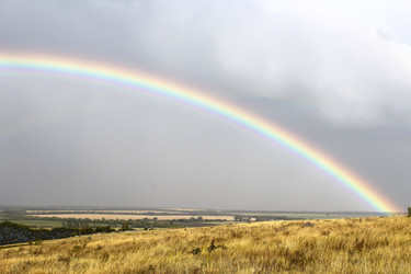 Similar image 1457679