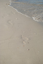 Similar image 1457756