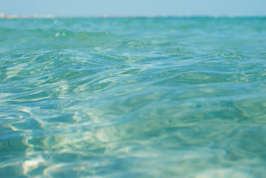 Similar image 1457761