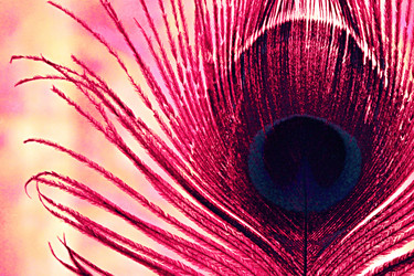 Similar image 1457768