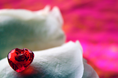 Similar image 1457769